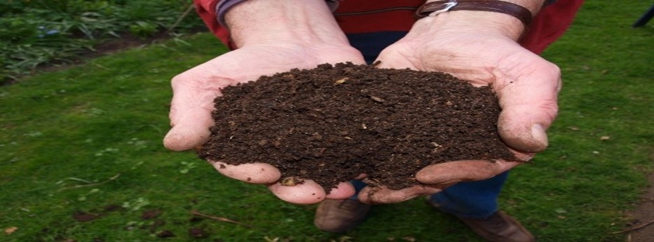 Read more about the article Construction of a Compost bin out of pallets and a Compost for “black gold”. (copy)