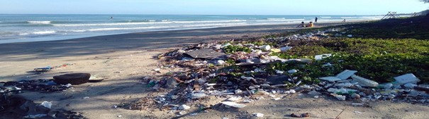 Прочитајте повеќе за статијата “Plastiği Önle” Posteri Hazırlama